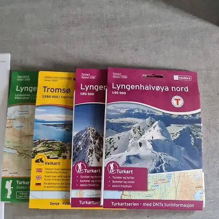 Aurora Dream Svensby