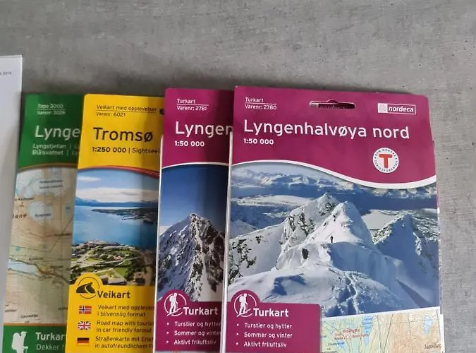 Aurora Dream Svensby