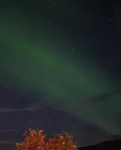 Aurora Dream *