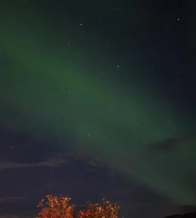 Aurora Dream *