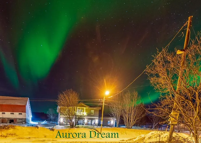 Aurora Dream Svensby